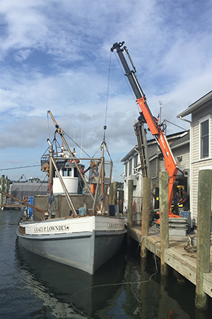 Dock Mounted Marine Crane manufactured by DMW Marine Group, LLC - Chester Springs, PA